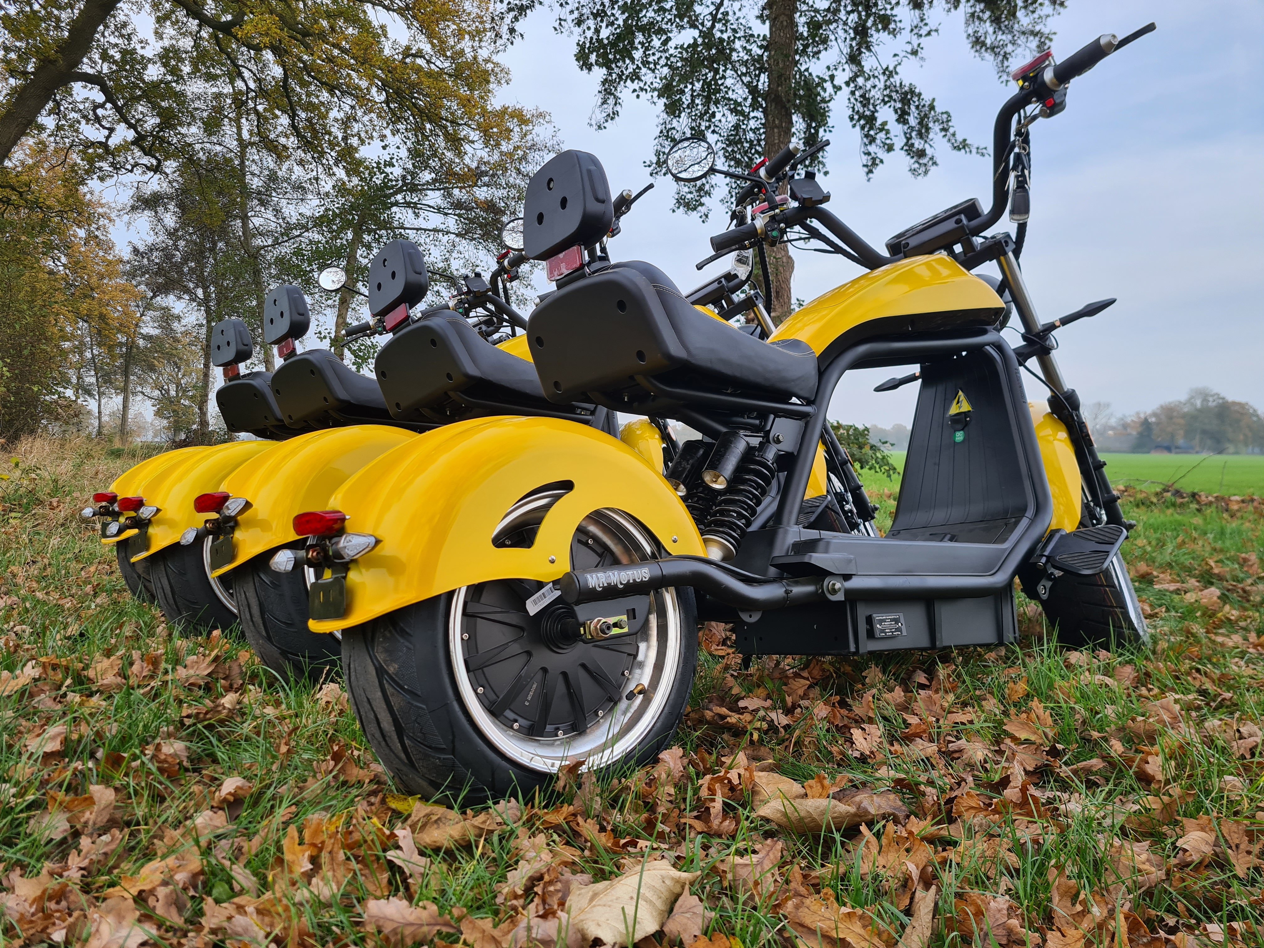 E-Yellow E-Chopper Harley 6.0, E-chopper Harley
