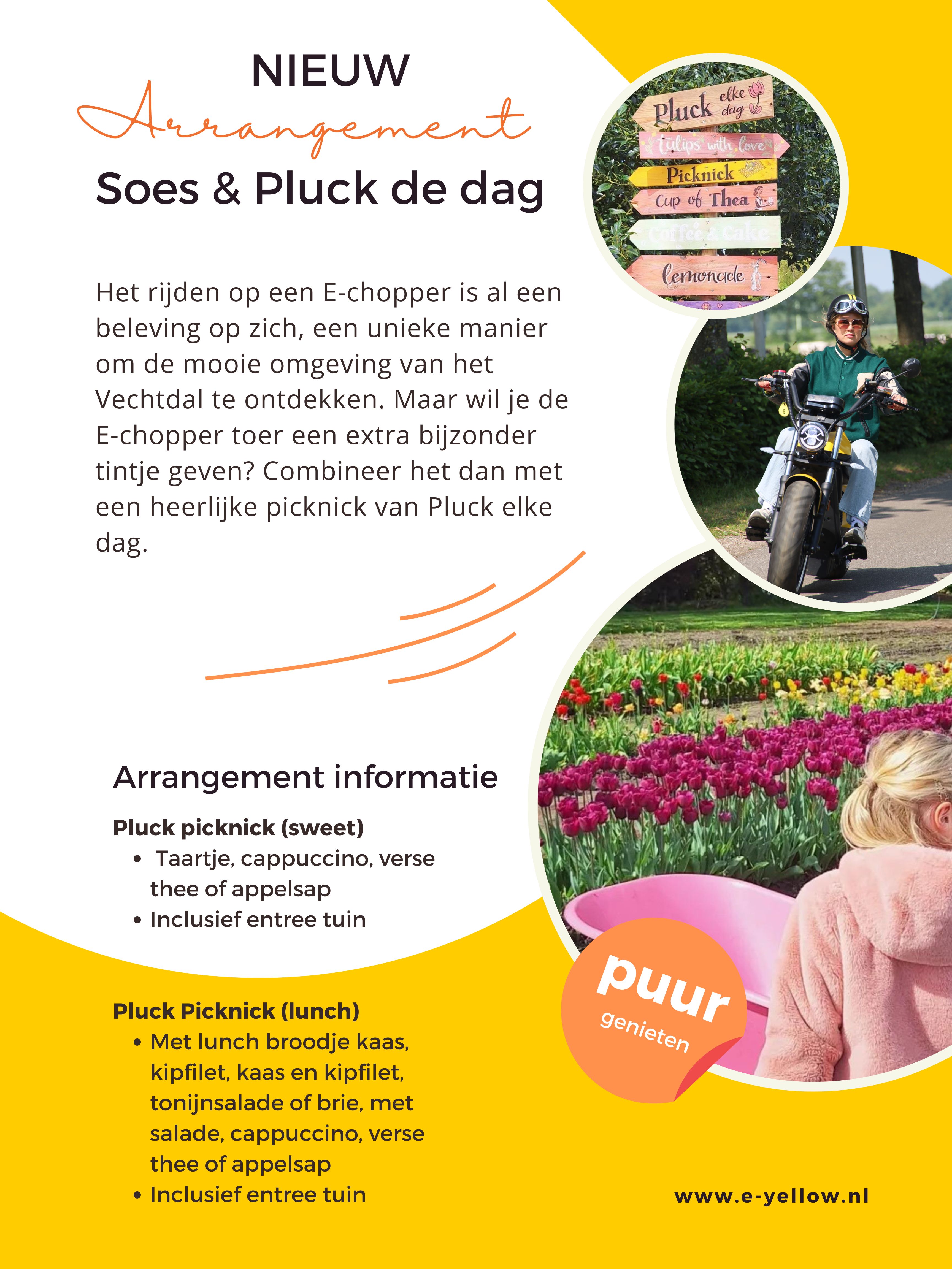 Soes & Pluk de dag arrangement picknick