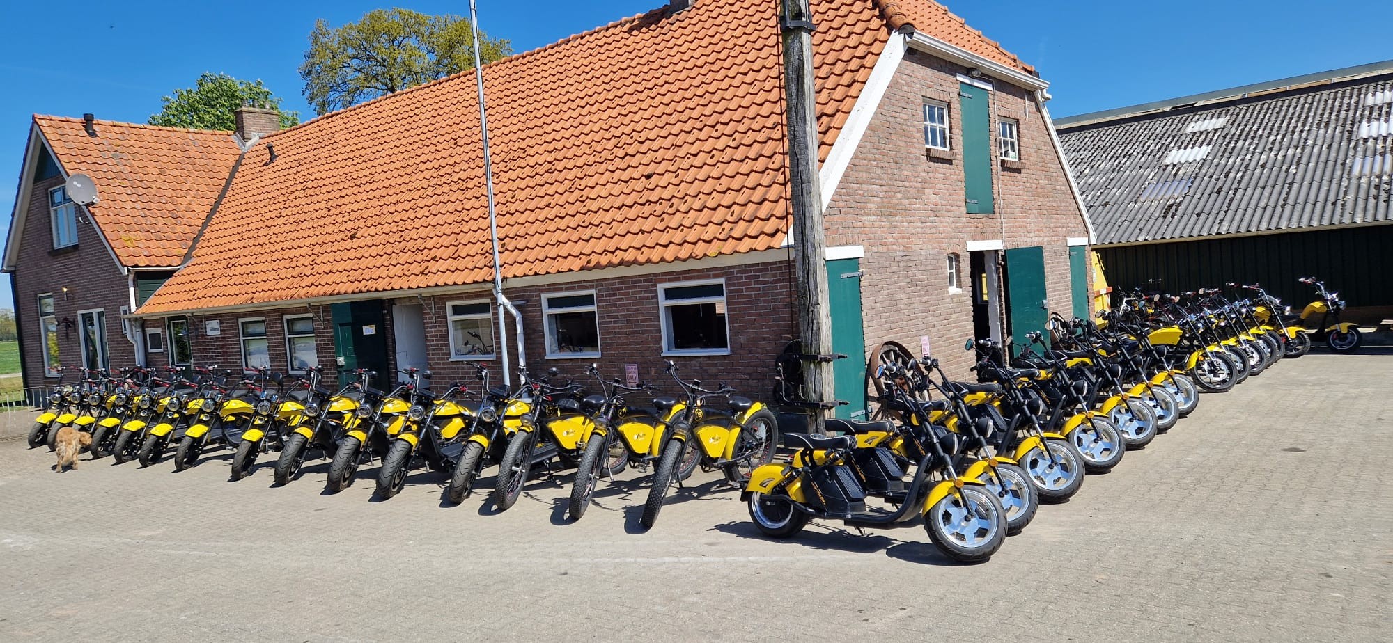 E-Yellow e-chopper verhuur